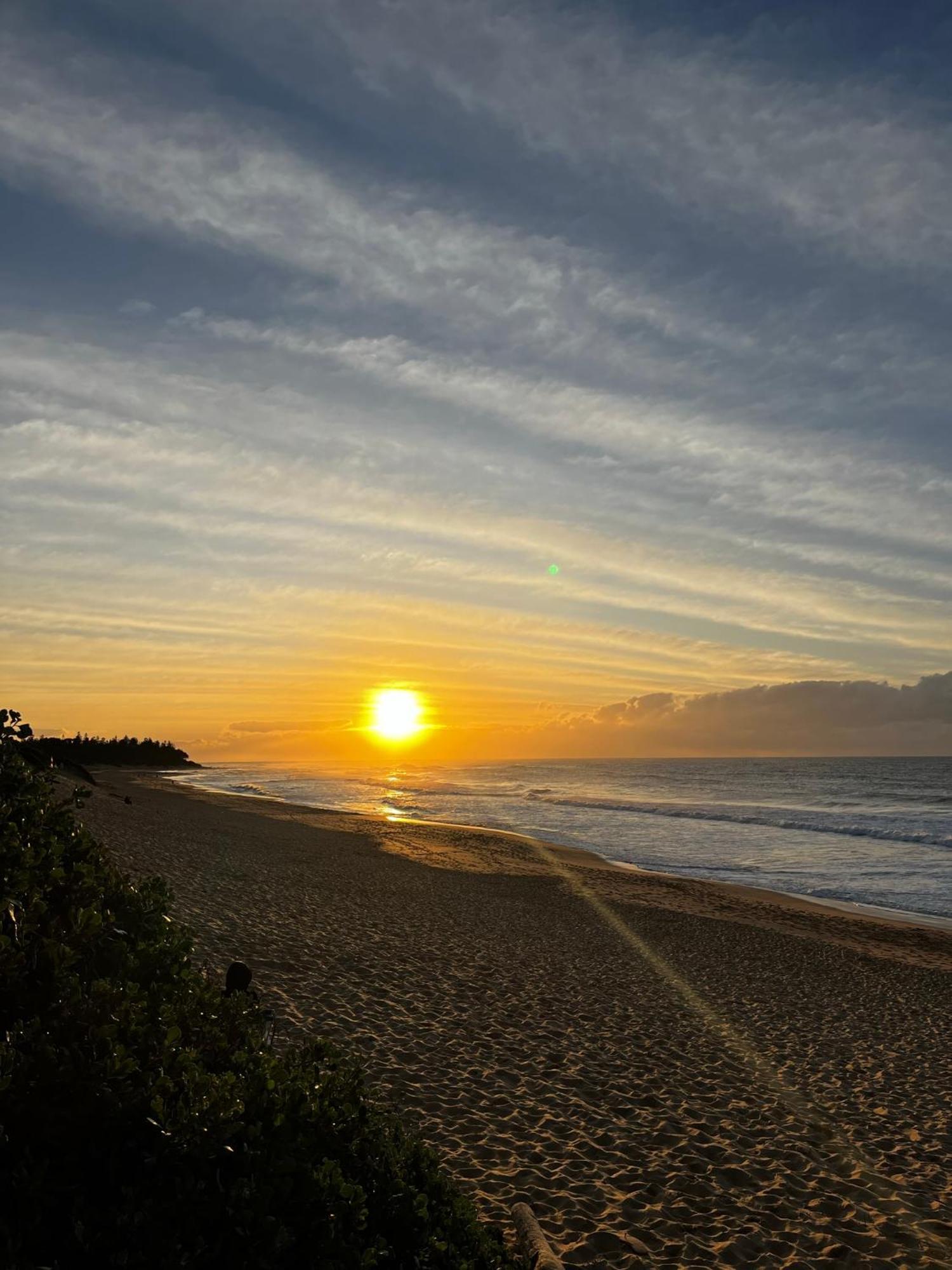 Shelly Beach Holiday Park Entrance Bagian luar foto